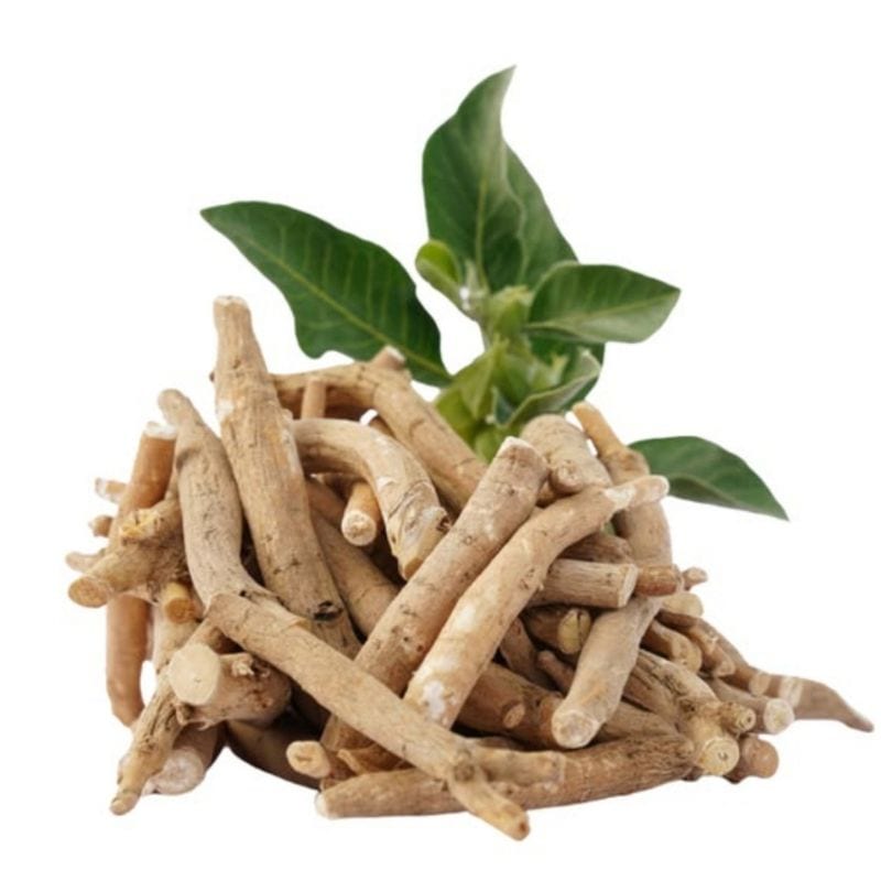Herb