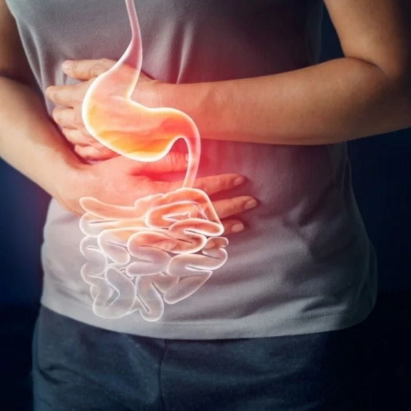 Gut Issues